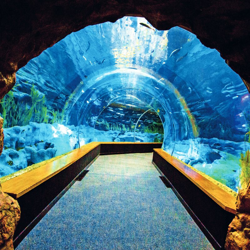 Poema del Mar Aquarium Gran Canaria